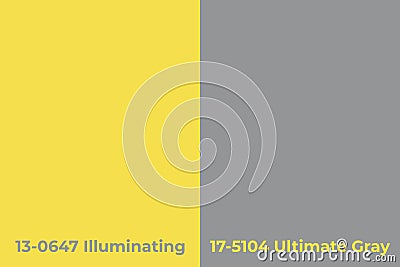 Trendy colors 2021 Gray and Yellow samples paper Vector Illustration
