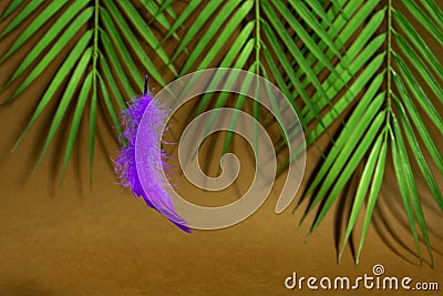 Trendy concept - purple feather levitation over wooden cube on brown background. Geometric shape and fluffy neon feather Stock Photo