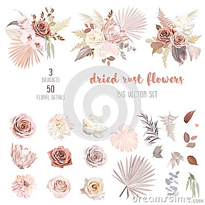 Trendy dried palm leaves, blush pink and rust rose, pale protea Vector Illustration