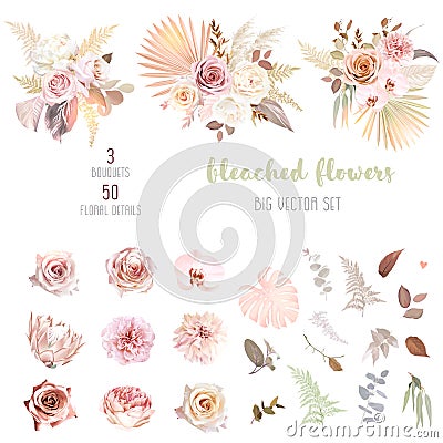 Trendy dried palm leaves, blush pink and rust rose, pale protea, white ranunculus Vector Illustration