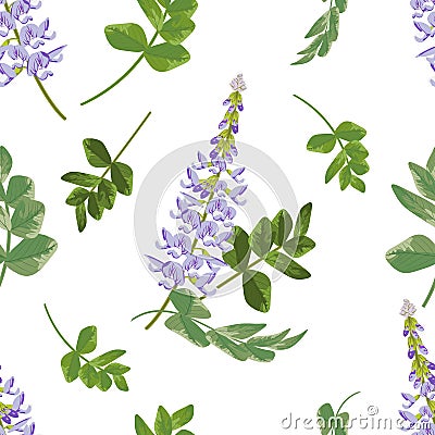 Trendy floral pattern of lilac Galega flowers and green leaves.O Vector Illustration