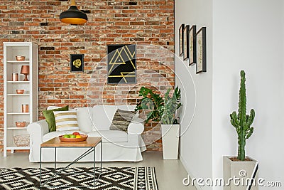 Trendy living room with plants Stock Photo