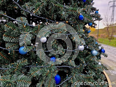 trendy modern Christmas tree with blue teeth made of glossy and Stock Photo