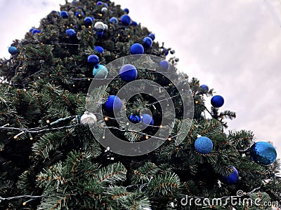 trendy modern Christmas tree with blue teeth made of glossy and Stock Photo