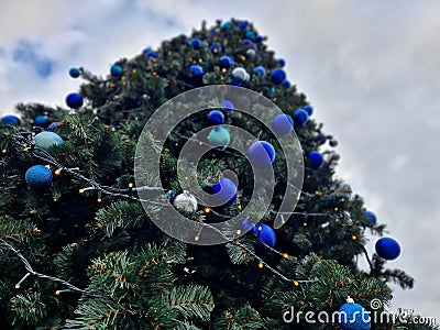 trendy modern Christmas tree with blue teeth made of glossy and Stock Photo