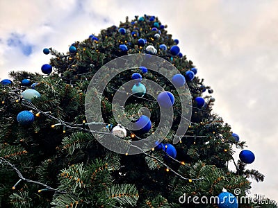 trendy modern Christmas tree with blue teeth made of glossy and Stock Photo