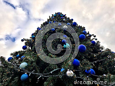 trendy modern Christmas tree with blue teeth made of glossy and Stock Photo