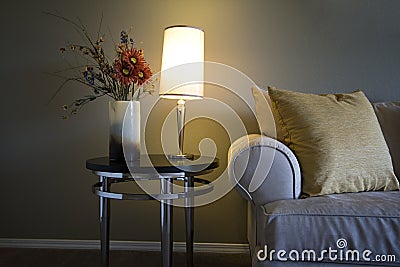 Trendy Modern Living Room Stock Photo