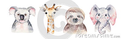 A poster with a baby panda, sloth, giraffe and koala. Watercolor cartoon elephant tropical animal illustration. Jungle Cartoon Illustration