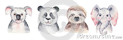 A poster with a baby panda, sloth, giraffe and koala. Watercolor cartoon elephant tropical animal illustration. Jungle Cartoon Illustration