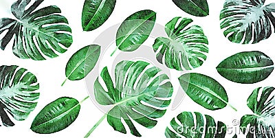 Trendy tropical leaves composition Stock Photo