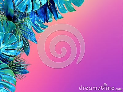 Trendy turquoise colored close up of various tropical leaves on bright pink and violet background Stock Photo