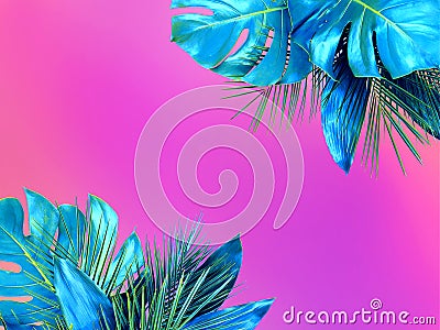 Trendy turquoise colored close up of various tropical leaves on bright pink and violet background Stock Photo