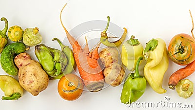 Trendy Ugly Vegetables: potatoes, carrots, cucumber, peppers and tomatoes on white background, ugly food concept Stock Photo