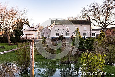 Doves flying into nesting box in the beer green of the rural idyllic River Trent side public house and restaurant during evening Editorial Stock Photo