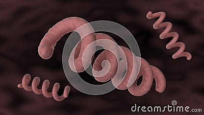 Treponema pallidum under a microscope. Bacterium which causes syphilis, close-up view. 3D-rendering. Stock Photo