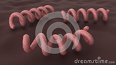Treponema pallidum under a microscope. Bacterium which causes syphilis, close-up view. 3D-rendering. Stock Photo