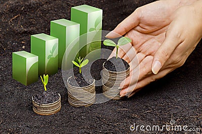 Tress growing on coins Stock Photo