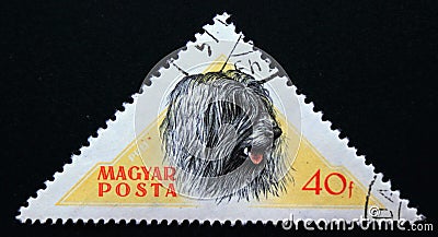 Triangle postage stamp hungary, 1956. Puli canis lupus familiaris Editorial Stock Photo