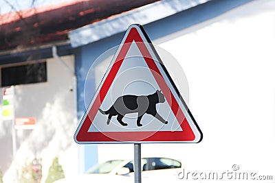 Triangular road sign with a picture of a cat Stock Photo