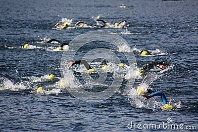 Triathlon swimmers Stock Photo