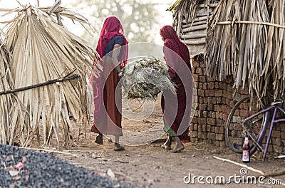 Tribal ladies with grass bunch Editorial Stock Photo