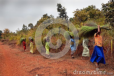 Tribal women of Orissa-India Editorial Stock Photo