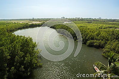 A tributary of the River Gambia near Makasutu Forest in Gambia, Stock Photo