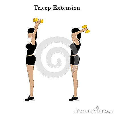 Tricep extension exercise Vector Illustration