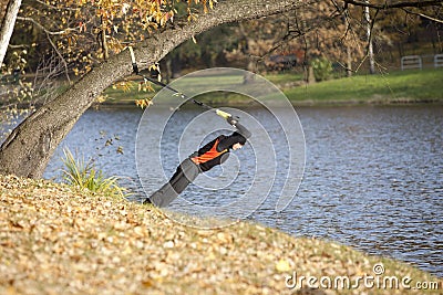 Triceps suspension workout in the park Stock Photo