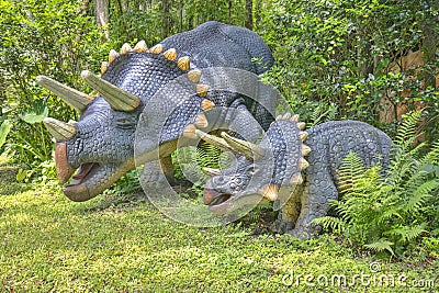 Triceratops Dinosaurs Editorial Stock Photo