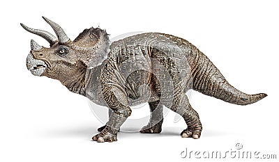 Triceratops dinosaurs toy with clipping path. Stock Photo