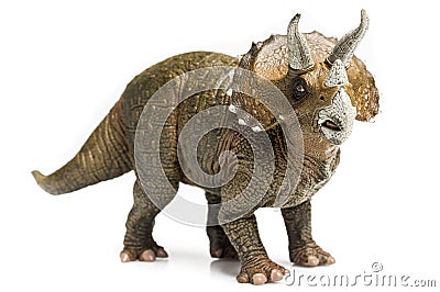 Triceratops Stock Photo