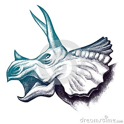 Triceratops head drawing. Pencil sketch illustration Cartoon Illustration