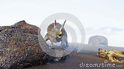Triceratops horridus dinosaur in foggy landscape Stock Photo