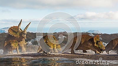 Triceratops horridus family, group of dinosaurs in beautiful landscape Stock Photo