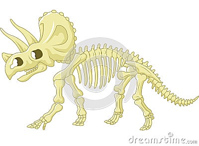 Triceratops skeleton Vector Illustration