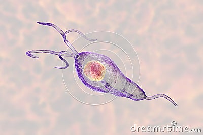 Trichomonas vaginalis protozoan Cartoon Illustration
