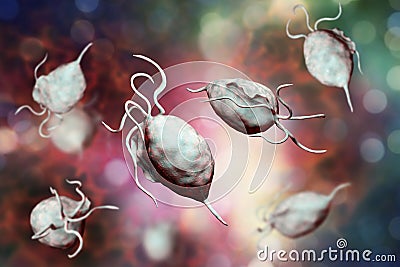 Trichomonas vaginalis protozoan Cartoon Illustration