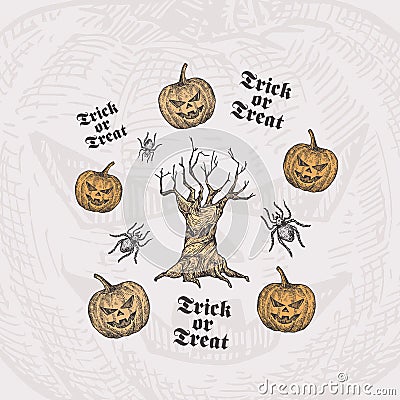 Trick or Treat Halloween Vector Background or Card Template. Hand Drawn Spooky Tree and Pumpkins with Spider Sketch and Vector Illustration