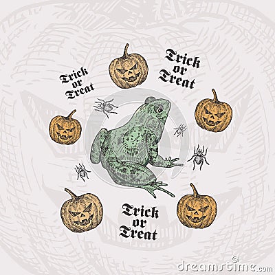 Trick or Treat Halloween Vector Background or Card Template. Hand Drawn Toad or Frog and Pumpkins with Spider Sketch and Vector Illustration