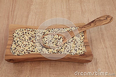 Tricolour Quinoa Stock Photo