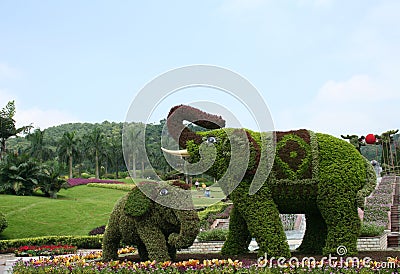 Tridimensional horticulture Stock Photo