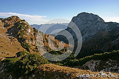 Triglav NP mountain landscape with autumn larches Stock Photo