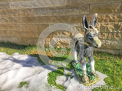 Triket donkey on the snow background Stock Photo