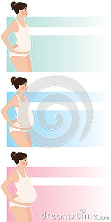 Trimesters of pregnancy Vector Illustration