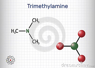 Trimethylamine, TMA molecule. It is amine, methylamine, synthesized by microbial enzymes in gut with involvement of Vector Illustration