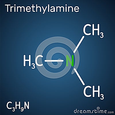 Trimethylamine, TMA molecule. It is amine, methylamine, synthesized by microbial enzymes in gut with involvement of Vector Illustration