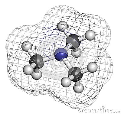 Trimethylamine volatile tertiary amine molecule. Important component of the smell of rotting fish. Stock Photo