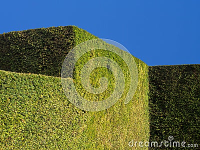 Stately Home Garden Hedge Stock Photo